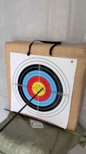 BFLW-P19 Fuxi Archery Compound Bows – High-Power & Precision | Perfect for Hunting