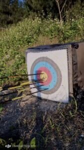 BFLW-P19 Fuxi Archery Compound Bows – High-Power & Precision | Perfect for Hunting
