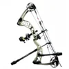 BFLW-P19 Fuxi Archery Compound Bows – High-Power & Precision | Perfect for Hunting