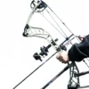 BFLW-P19 Fuxi Archery Compound Bows – High-Power & Precision | Perfect for Hunting