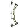 BFLW-P19 Fuxi Hunting Compound Bow – High-Power & Precision | Perfect for Hunting