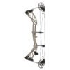 BFLW-P19 Fuxi Archery Compound Bows – High-Power & Precision | Perfect for Hunting