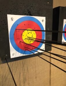 BFC-C18 Conqueror Dual-Use Compound Bow – Arrows & Steel Balls