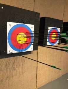 BFC-C18 Conqueror Dual-Use Compound Bow – Arrows & Steel Balls