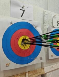 BFC-C18 Conqueror Dual-Use Compound Bow – Arrows & Steel Balls