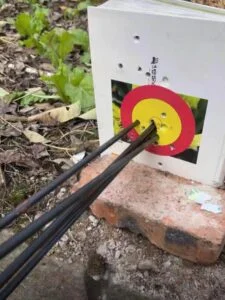 BFL-LM1 Little Monster | Compact & Lightweight Dual-Purpose Compound Bow – Shoots Arrows & Steel Balls | Portable & Powerful