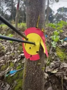 BFL-LM1 Little Monster | Compact & Lightweight Dual-Purpose Compound Bow – Shoots Arrows & Steel Balls | Portable & Powerful